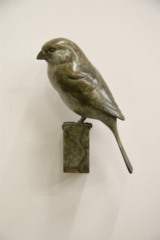 Sparrow - Wall Mounted