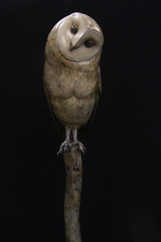 Barn Owl (New)