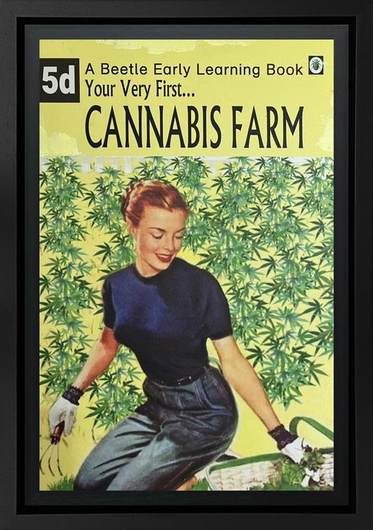 Cannabis Farm
