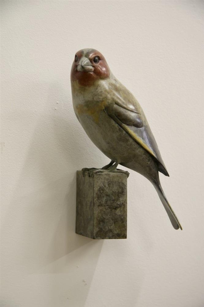 Goldfinch - Wall Mounted