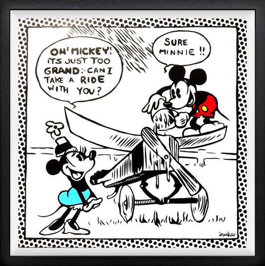 Mickey's Plane