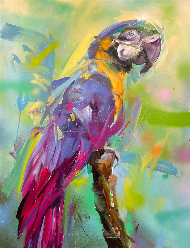 Purple Macaw
