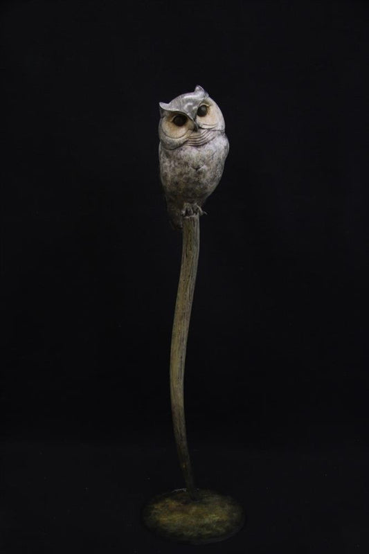 Scops Owl