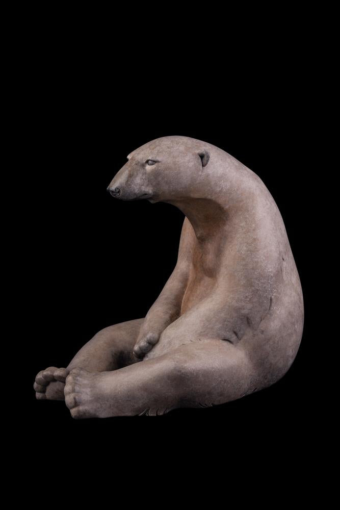 Sitting Polar Bear