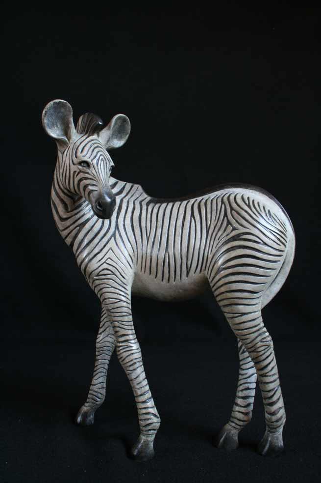 Zebra Foal